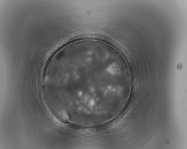 X0000092080721200709191224