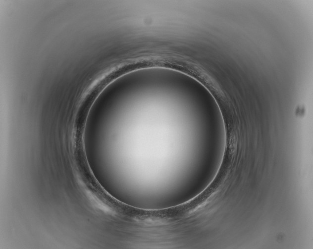 X0000092080722200709191224