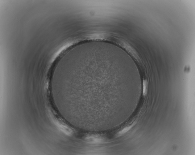 X0000092080723200709191224