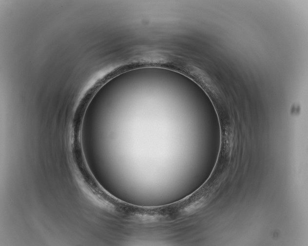 X0000092080726200709191224