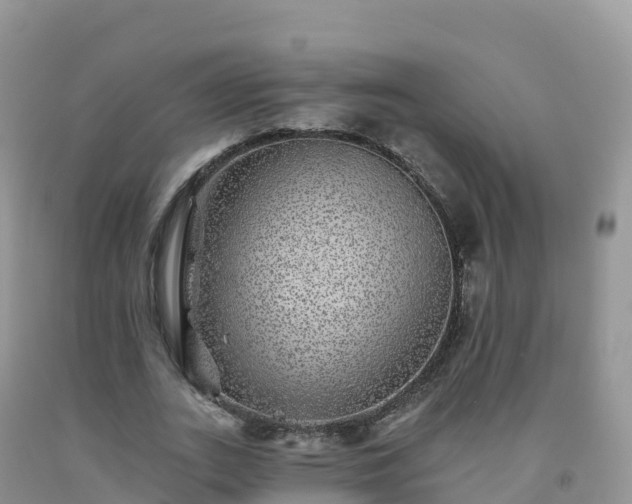 X0000092080727200709191224