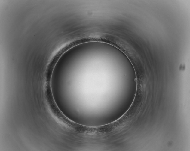 X0000092080728200709191224