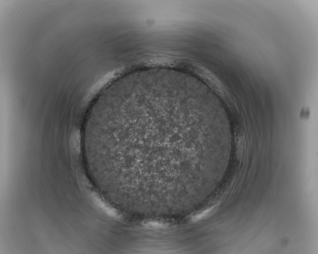 X0000092080729200709191224