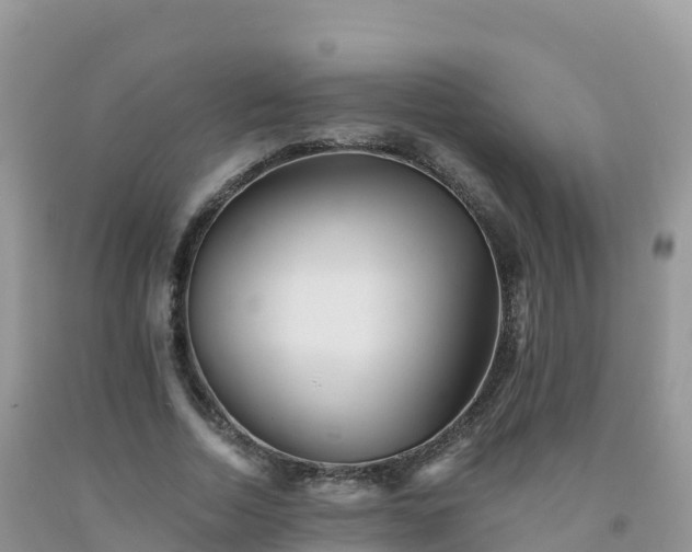 X0000092080730200709191224