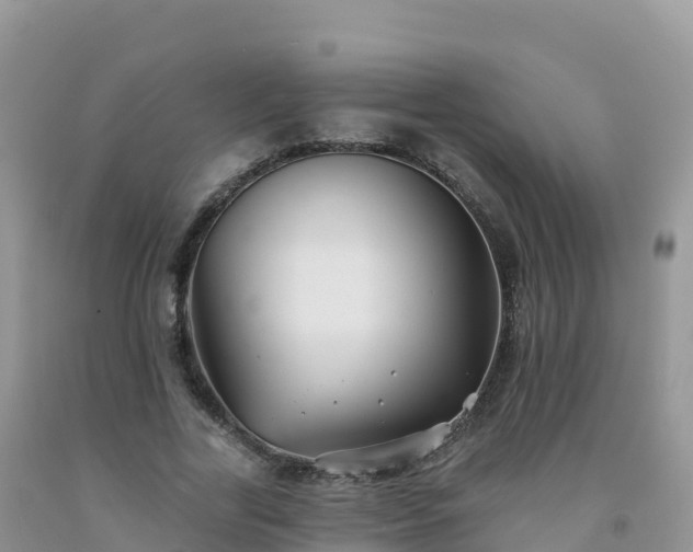 X0000092080731200709191224
