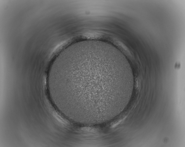 X0000092080733200709191224