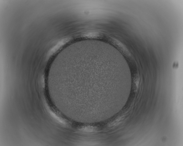 X0000092080734200709191224