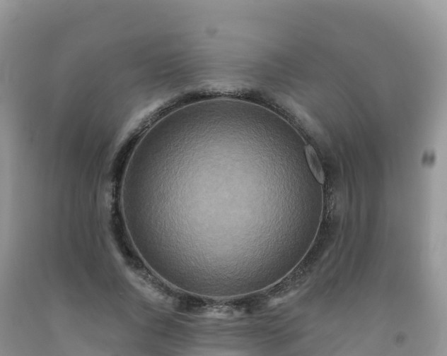X0000092080736200709191224