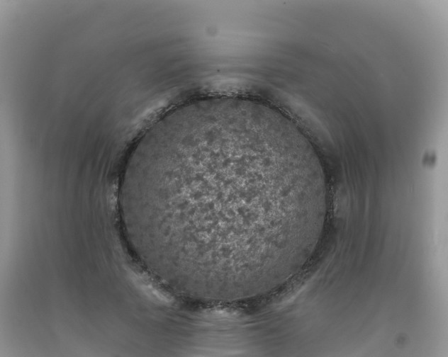 X0000092080737200709191224