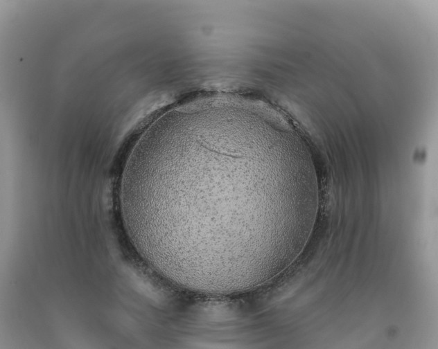 X0000092080738200709191224