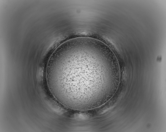 X0000092080739200709191224