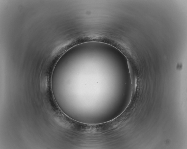 X0000092080740200709191224