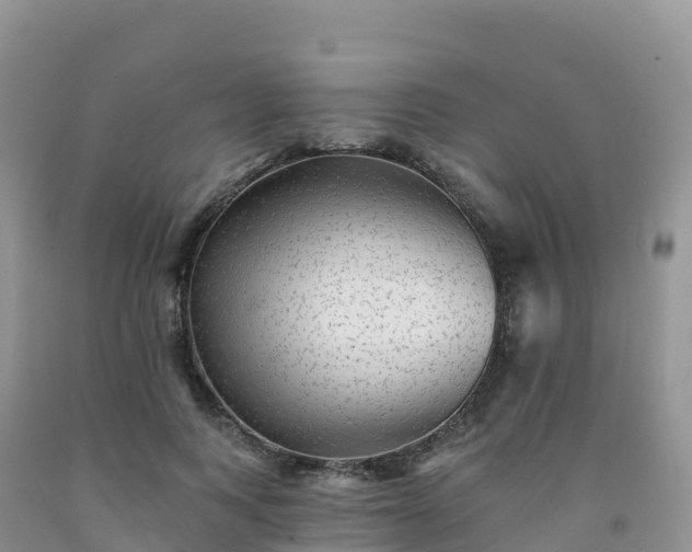X0000092080743200709191224