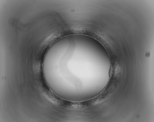 X0000092080744200709191224