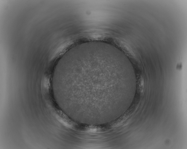 X0000092080746200709191224