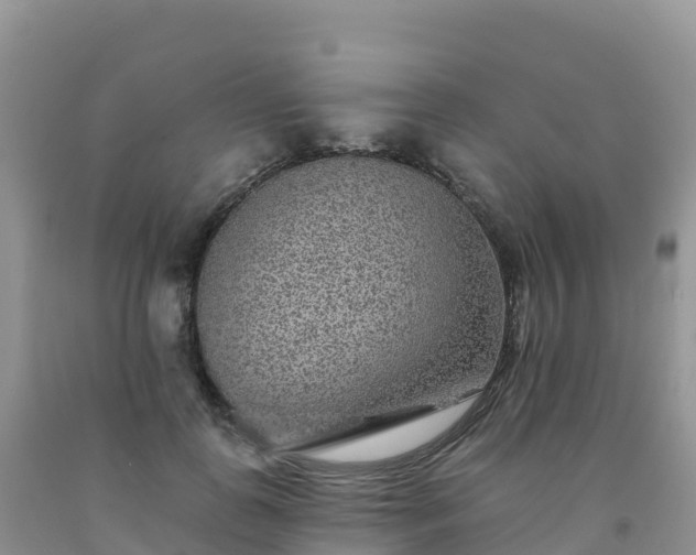 X0000092080747200709191224