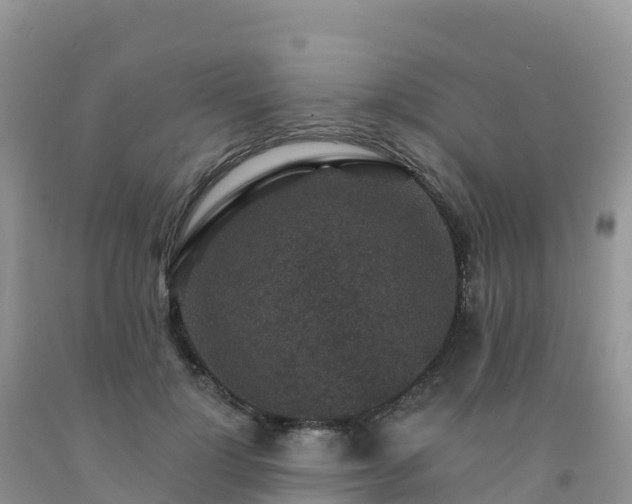 X0000092080748200709191224