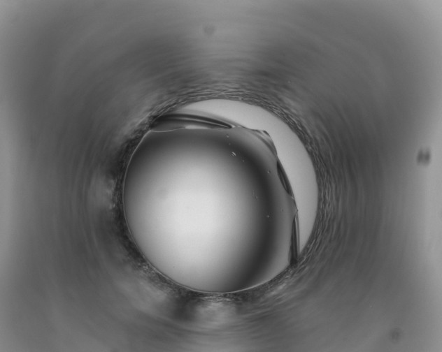 X0000092080750200709191224