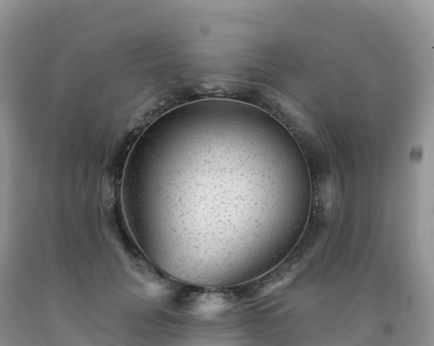X0000092080751200709191224