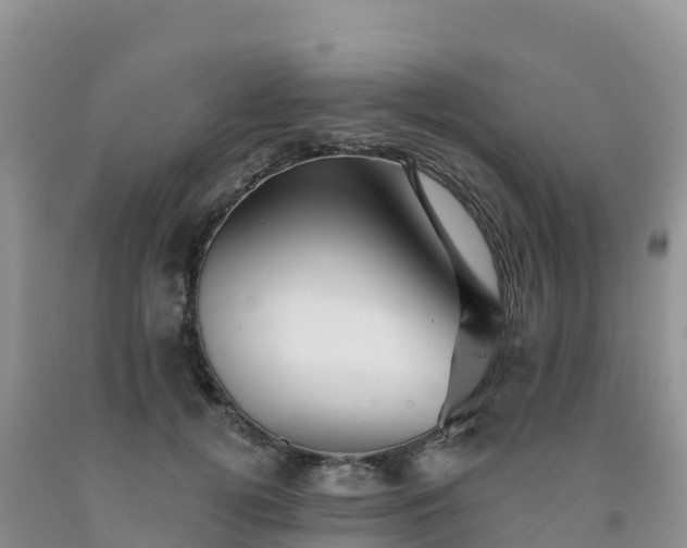 X0000092080752200709191224