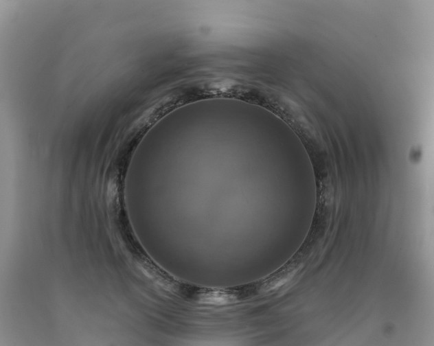 X0000092080754200709191224