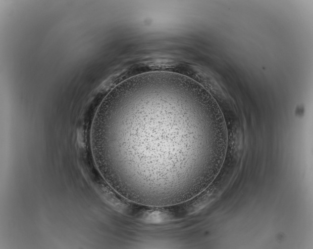 X0000092080755200709191224
