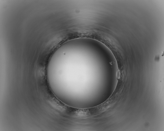 X0000092080756200709191224