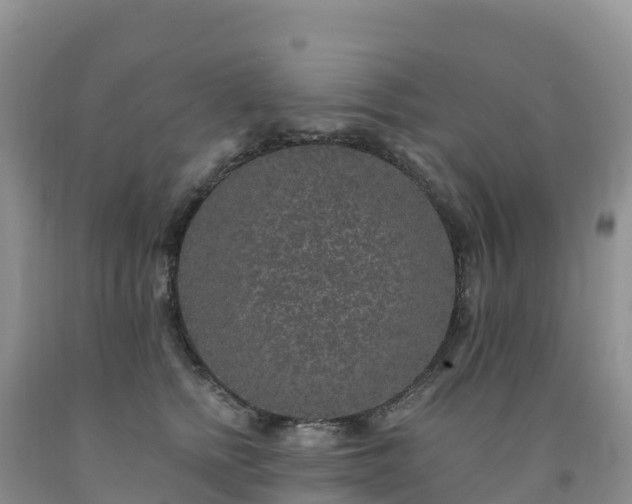 X0000092080758200709191224