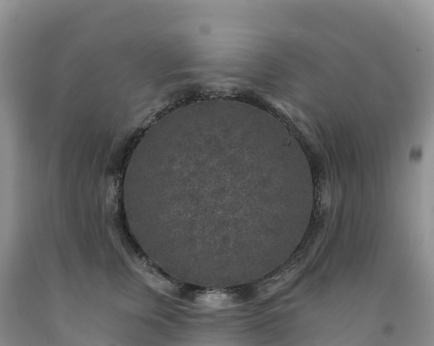 X0000092080759200709191224