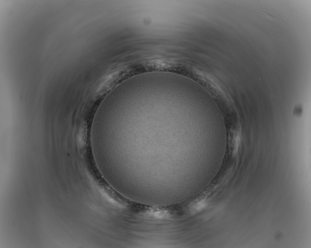 X0000092080760200709191224