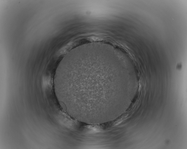 X0000092080763200709191225