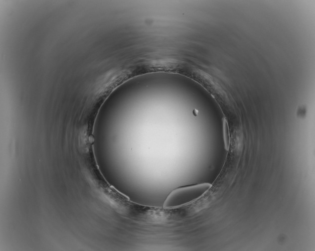 X0000092080764200709191225