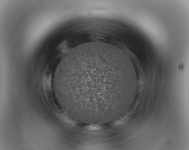 X0000092080765200709191225