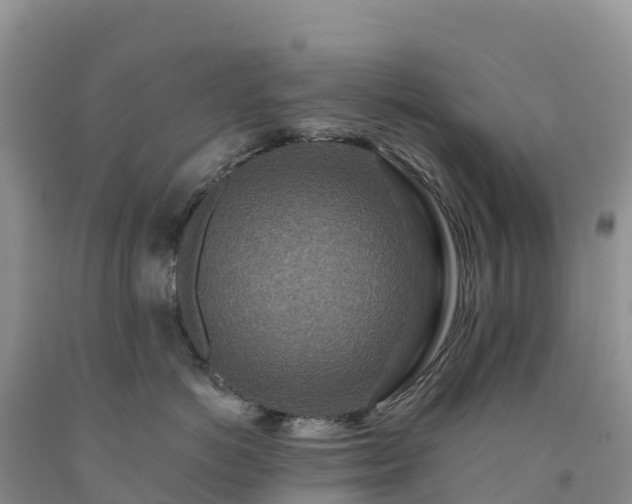 X0000092080766200709191225