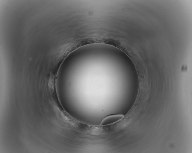 X0000092080768200709191225