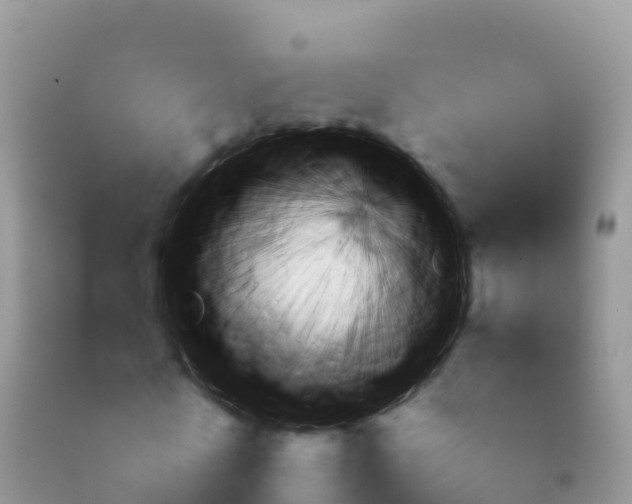 X0000092080770200709191224