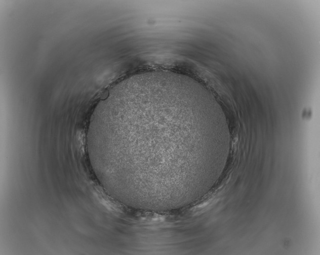X0000092080772200709191224