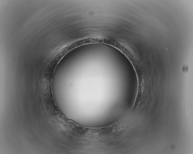 X0000092080773200709191224
