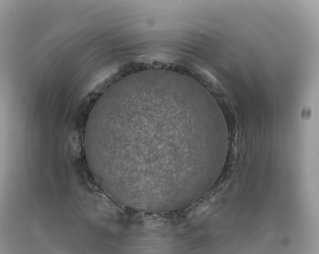 X0000092080774200709191224
