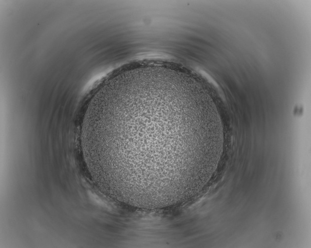 X0000092080775200709191224