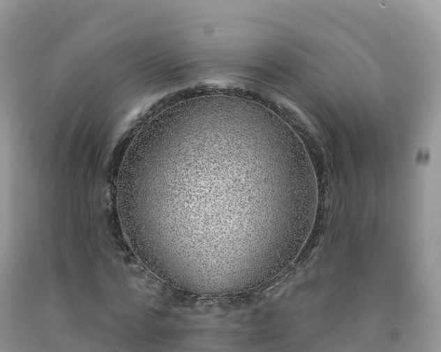X0000092080776200709191224