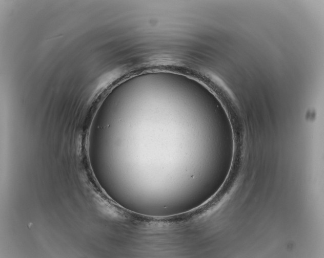 X0000092080777200709191224