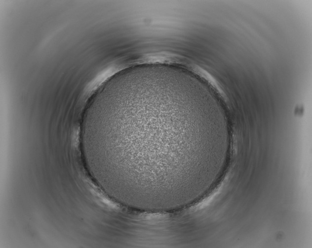 X0000092080778200709191224