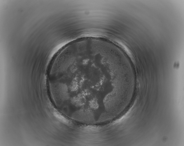 X0000092080779200709191224