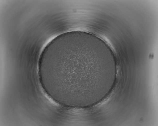 X0000092080780200709191224