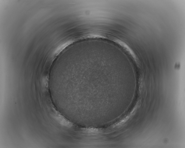 X0000092080785200709191224