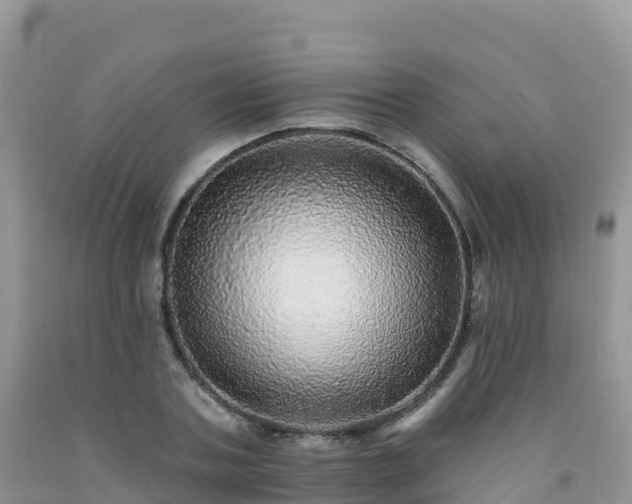 X0000092080787200709191224
