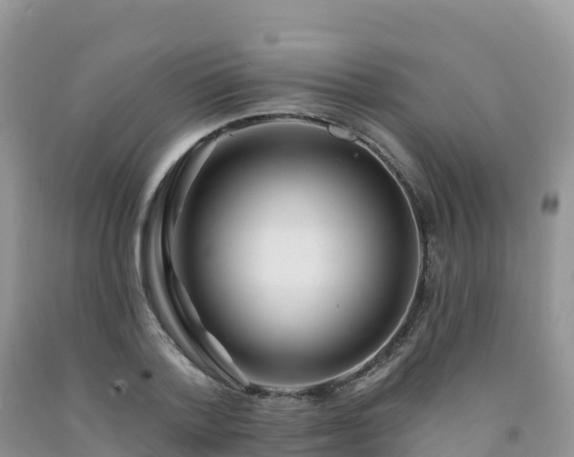 X0000092080788200709191224