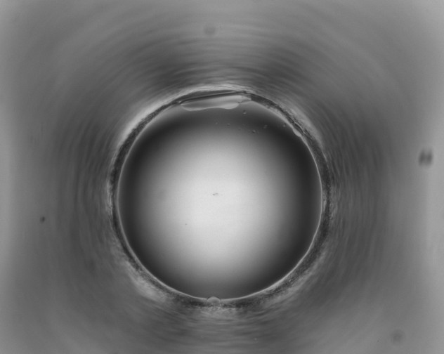 X0000092080789200709191224