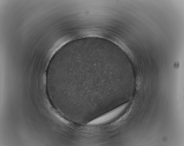 X0000092080790200709191224